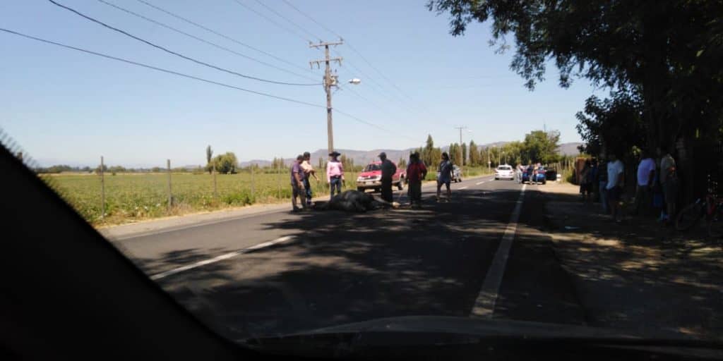 Providencial salvada tuvieron dos personas al colisionar con un caballo