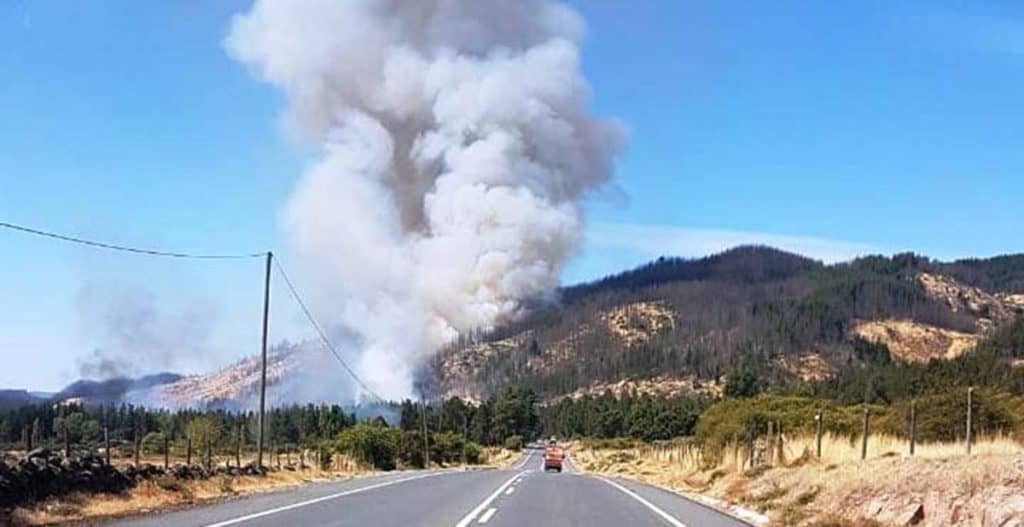 Inician combate de incendio forestal en Hualañé