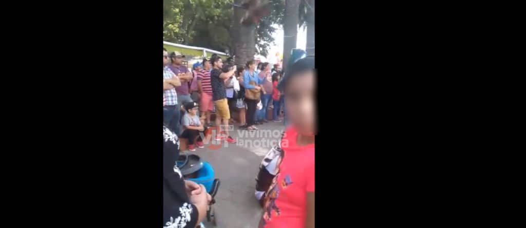 Corteza de palmera cayó sobre transeúntes en Plaza de Armas de Curicó