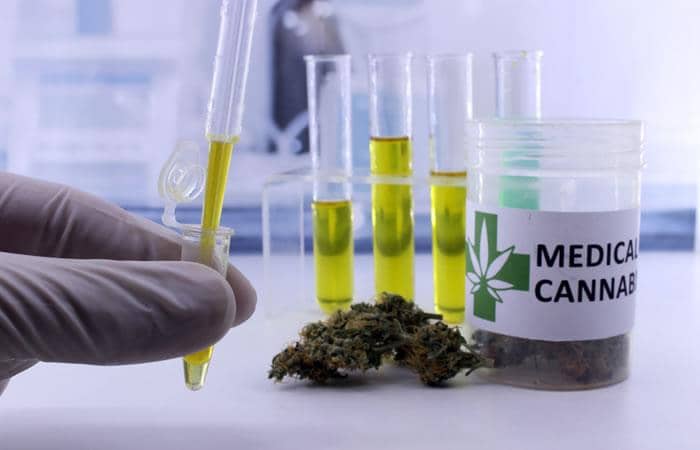 Los médicos chilenos que apoyan la cannabis como uso medicinal