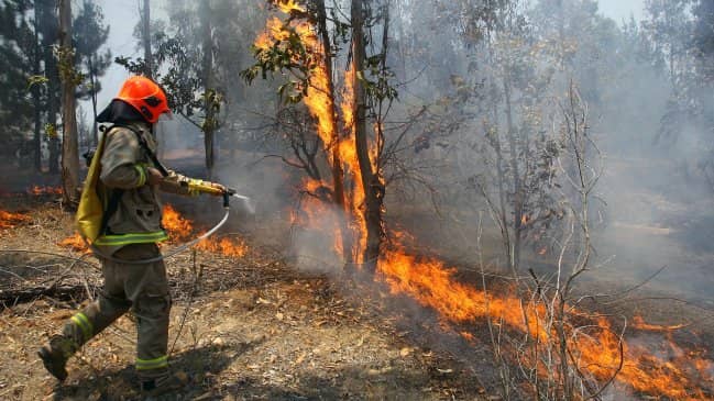 Onemi decreta alerta amarilla por incendios forestales en Pencahue