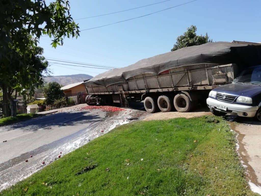 Camión cargado con tomates protagonizó accidente en Hualañé