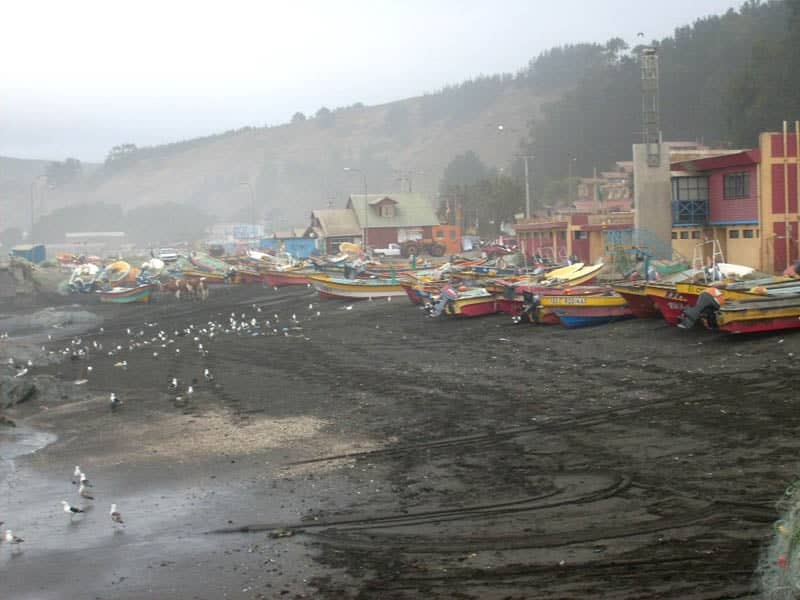Activación no programada de alerta de tsunami causó confusión en Duao