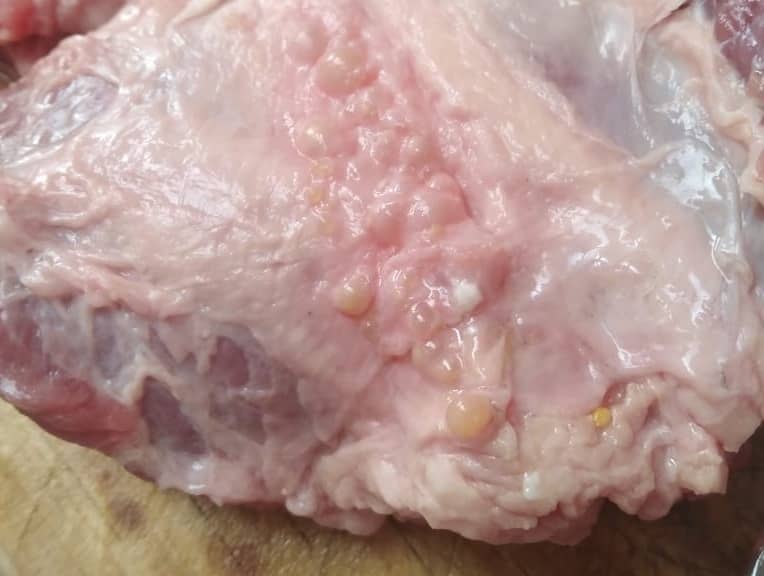 Cliente compró carne contaminada con parásitos en supermercado de Curicó