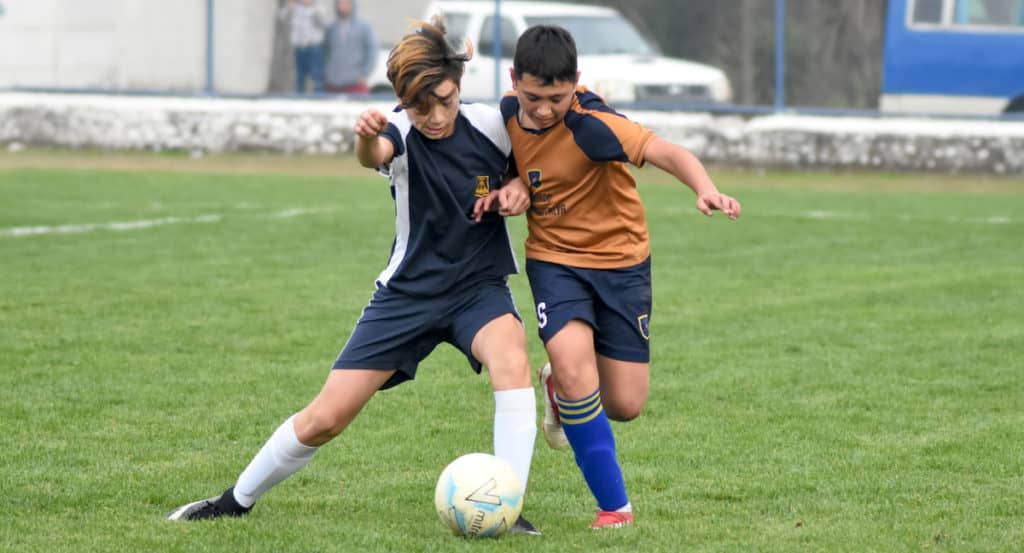 “Molina Rumbo a Islandia”: Cuatro escuelas se disputan el pase a la Copa del Rey
