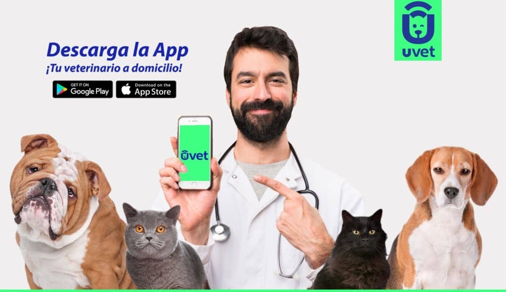 UVET, la aplicación chilena para contratar veterinarios a domicilio
