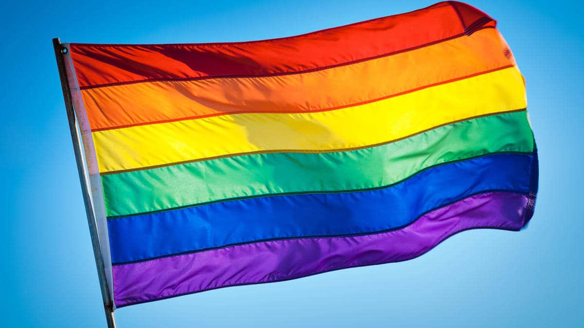 CADEM: El 66% de los chilenos apoya el matrimonio entre personas del mismo sexo
