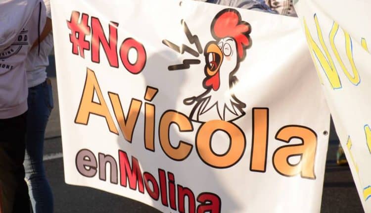 Alcaldesa de Molina criticó proyecto de empresa Agricovial en sesión del Concejo Municipal