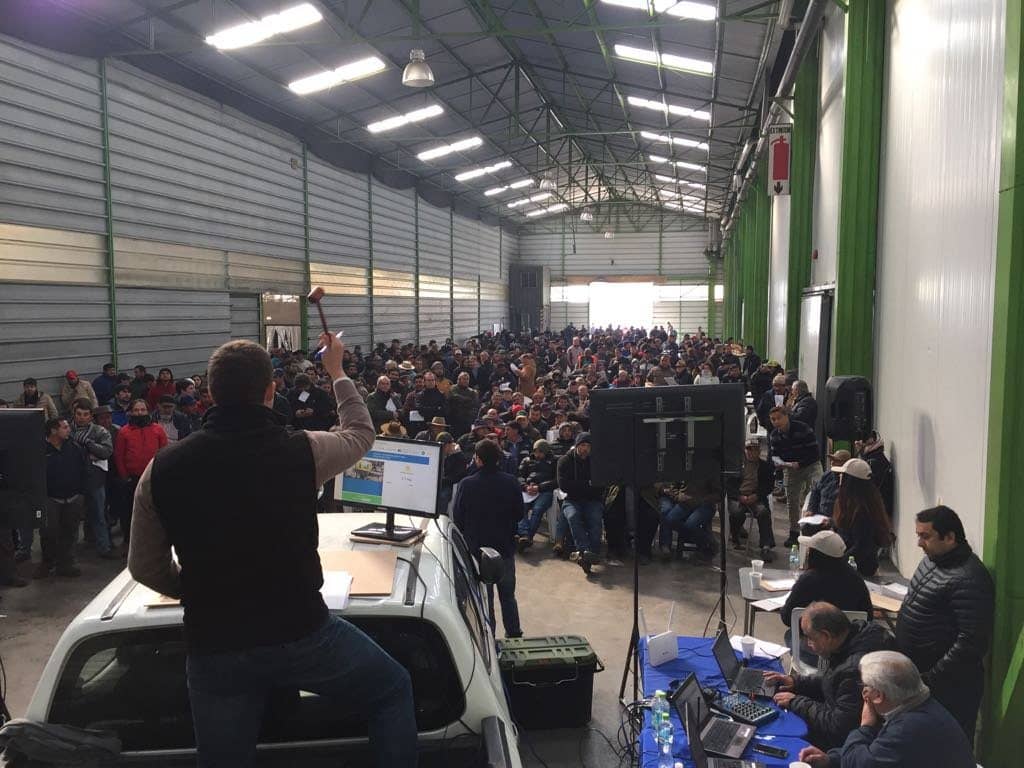 Sujetos robaron más de $12 millones en asalto a Feria Tattersall en Curicó