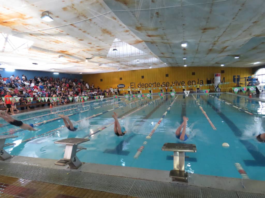 Más de 300 competidores participaron en 1er Torneo “Crecer Nadando” en Talca