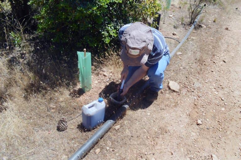 Fenómeno de La Niña podría incrementar mega sequía en zona central de Chile