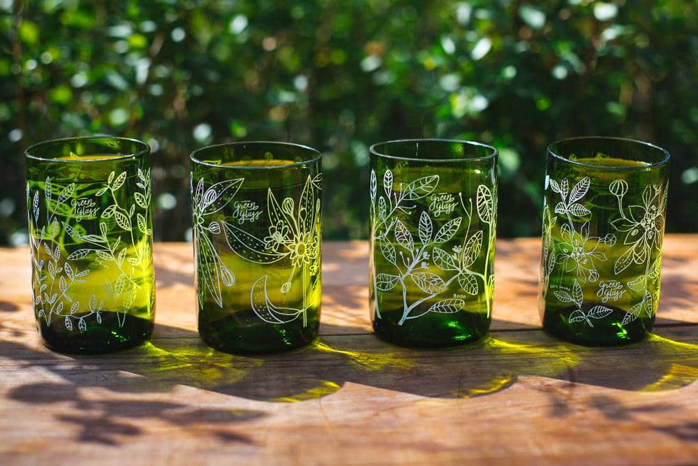 Mall Curicó y Green Glass lanzaron campaña para reforestar bosques nativos del país