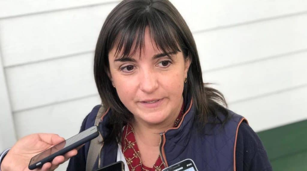 Ex gobernadora Macarena Pons llamó a revisar “letra chica” en Agenda Local del alcalde de Curicó