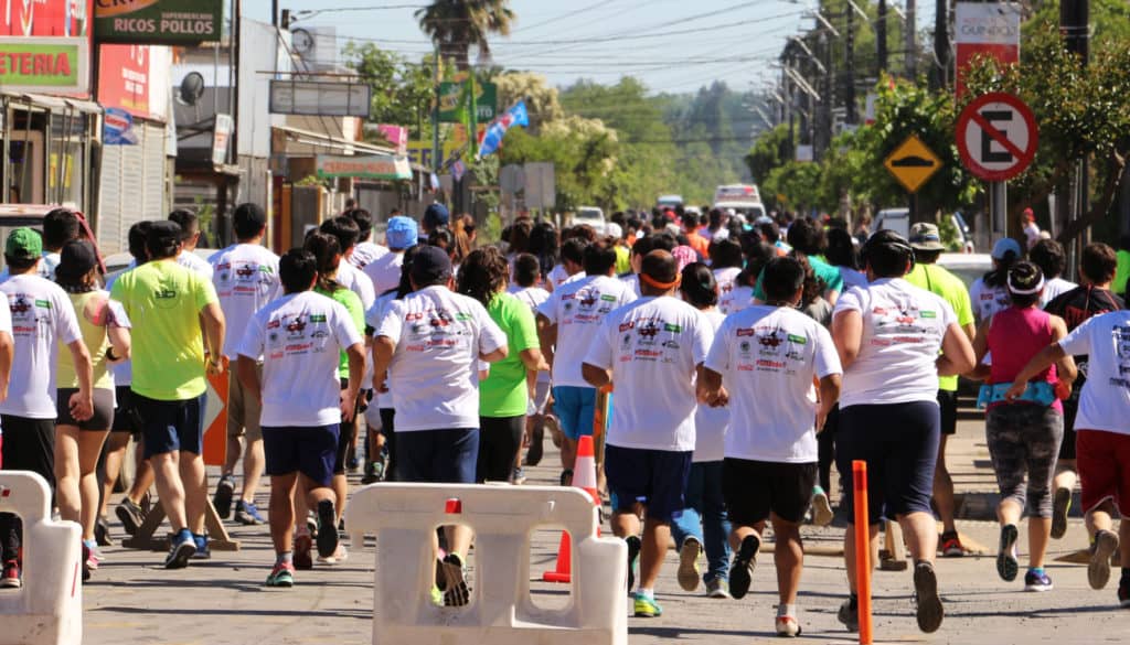 Liceo Arturo Alessandri Palma de Romeral realizará 3ª Corrida “En Familia Por Una Vida Saludable”