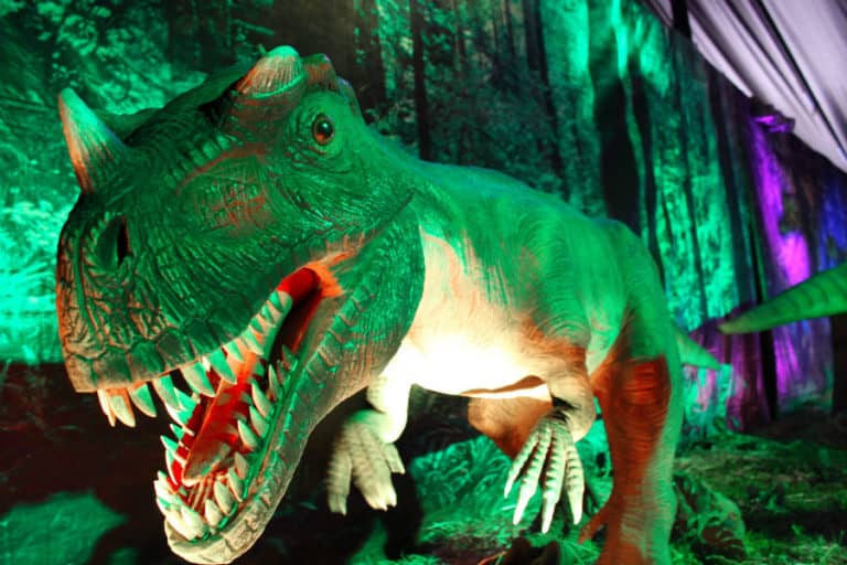 Expo Dinosaurios trajo 20 especies robotizadas a Mall Curicó