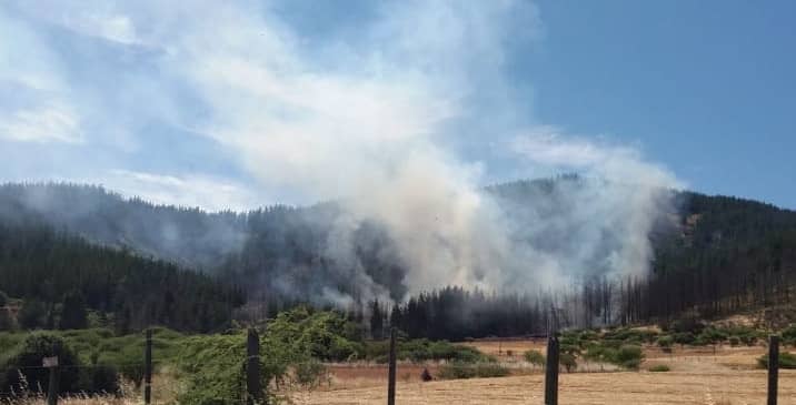 Tres personas detenidas por incendio forestal en Hualañé