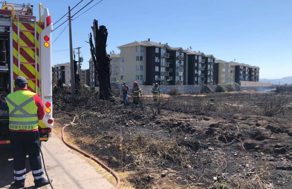 Administrador de ex seminario Rauquén tiene diez días para limpiar pastizales en terreno incendiado