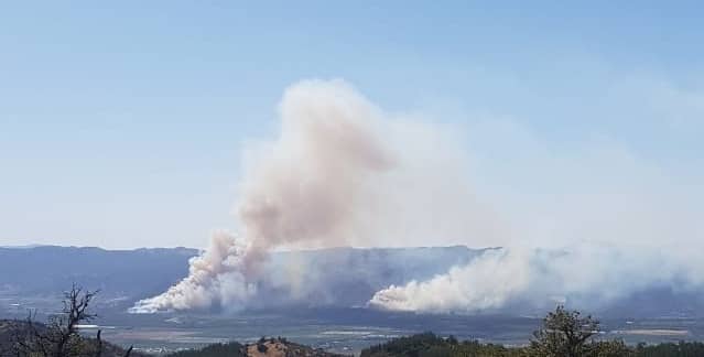 Incendio consumió más de 200 hectáreas en sector Majadilla de Rauco