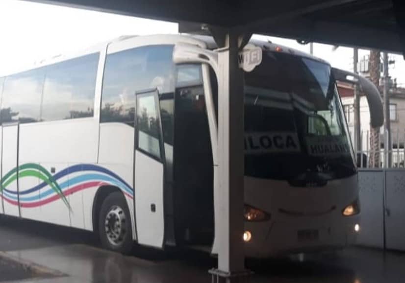 Familia denunció mal servicio de bus en recorrido entre Curicó e Iloca