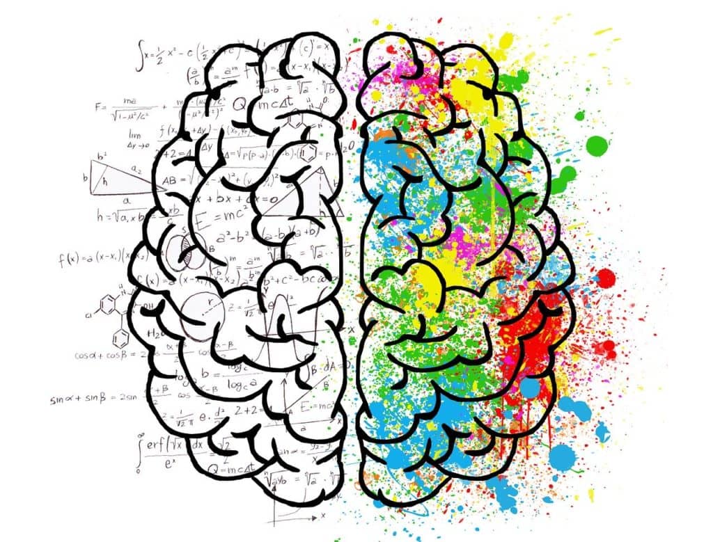 Así se saca la basura el cerebro