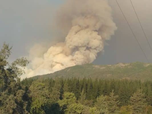 Incendio forestal de Agua Fría se mantiene activo: Se acerca a las 13 mil hectáreas consumidas