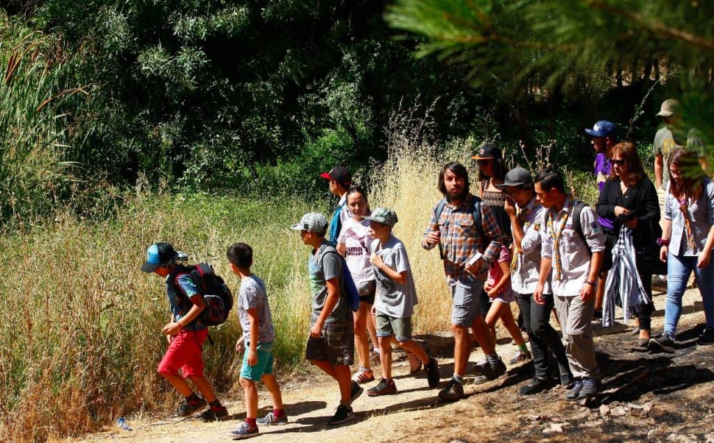 Municipio de Curicó realizó visita guiada al humedal del Cerro Condell