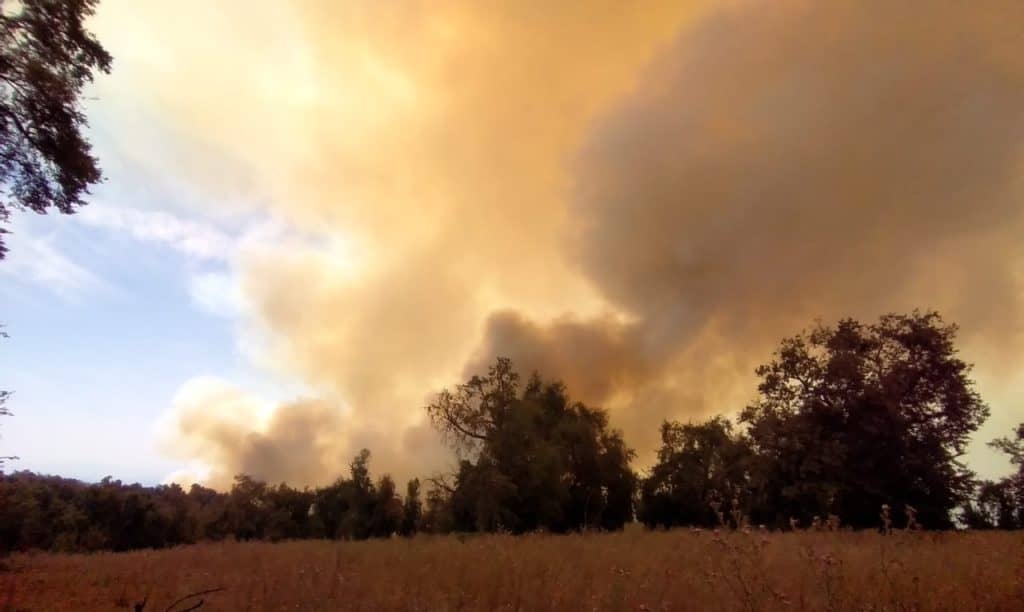 Gobernación de Curicó entregó balance de incendios forestales en Romeral y Molina