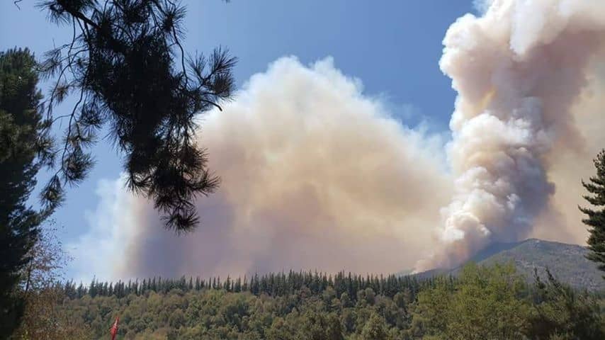 Académico aseguró que educación ambiental a temprana edad es clave para prevenir incendios