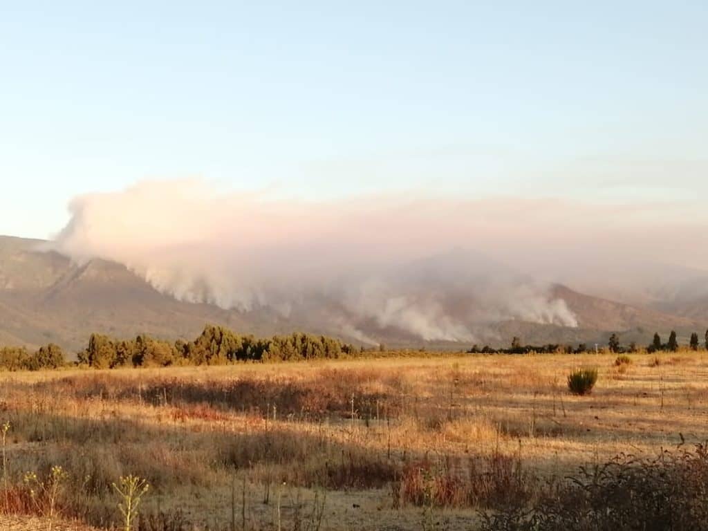 Incendio en Radal estaría controlado y esfuerzos se concentran en sector de Agua Fría
