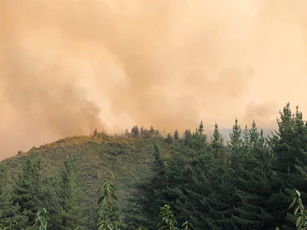 Incendio en Alupenhue estaría controlado y brigadas siguen trabajando en sector norte de Molina