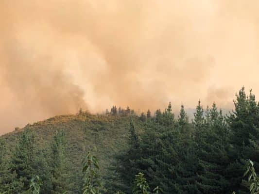Incendio en Alupenhue estaría controlado y brigadas siguen trabajando en sector norte de Molina