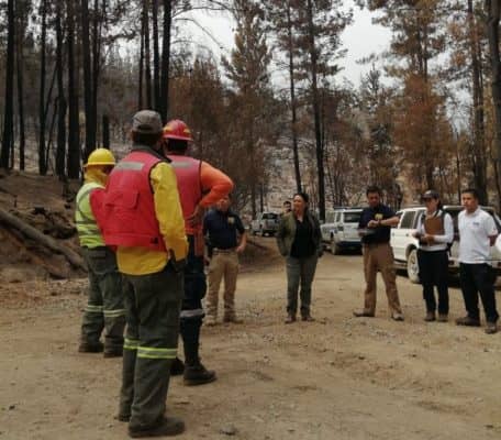 Fiscalía de Molina y peritos de la PDI realizan diligencias para investigar incendio forestal