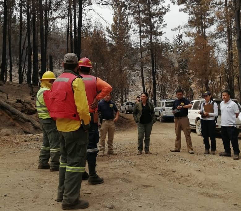 Fiscalía de Molina y peritos de la PDI realizan diligencias para investigar incendio forestal