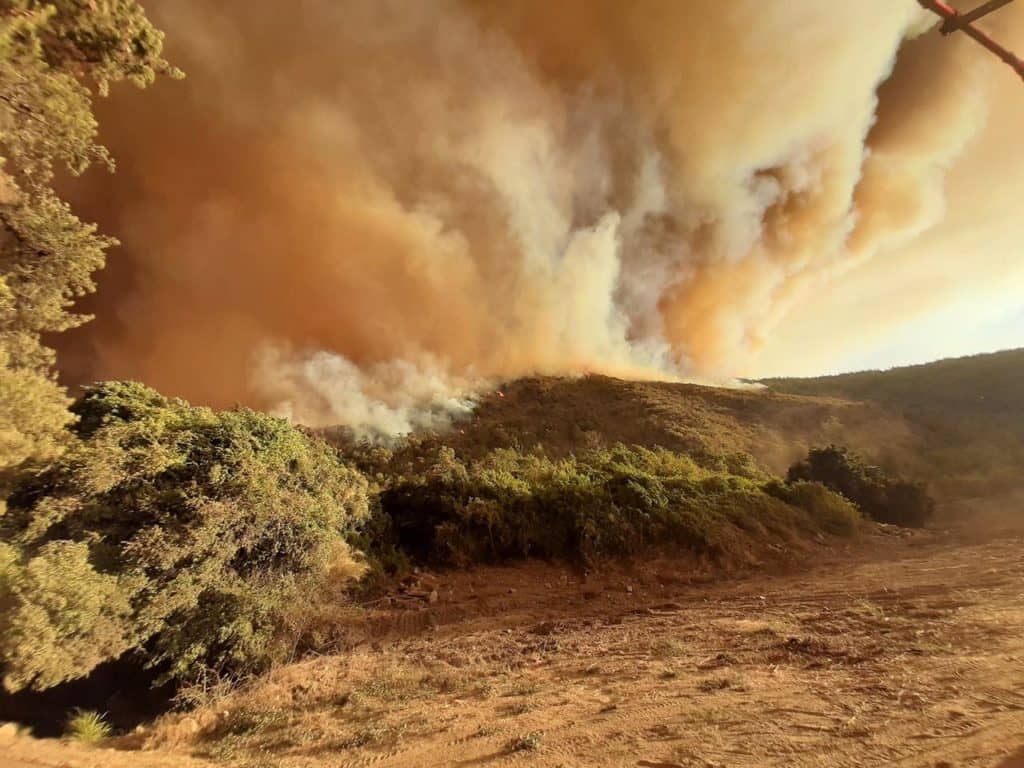 Alcalde de Curicó solicita declarar zona de catástrofe por incendios forestales