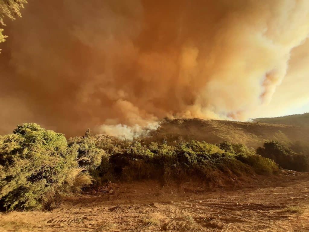 Solicitan declarar zona de catástrofe por incendio forestal en Curicó