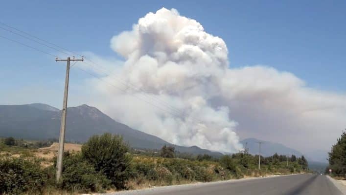 Millonario aporte recibirán pymes turísticas del Radal Siete Tazas afectadas por incendios forestales