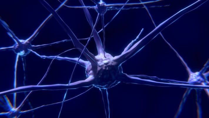 El límite entre la vida y la muerte en las neuronas