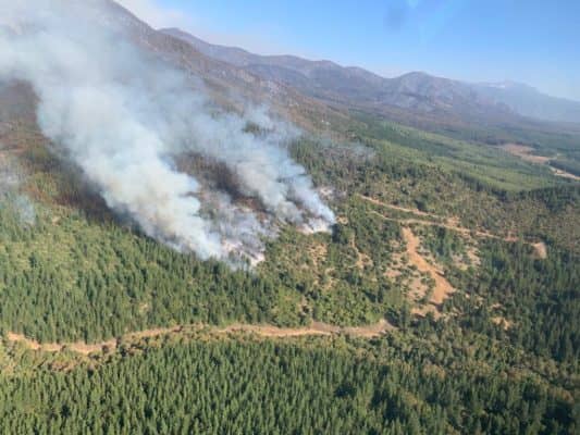 Alcaldesa de Molina confirmó que incendio forestal en Radal bajó su intensidad