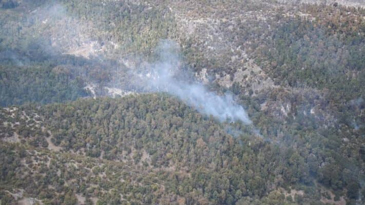 Incendio forestal en precordillera de Molina logró ser contenido