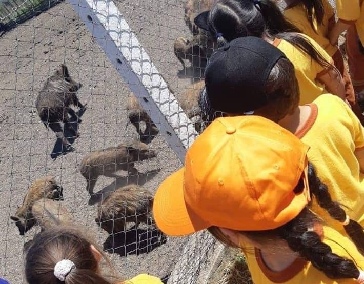 Animalista de Teno pide ayuda para salvar especies nativas y exóticas que mantiene en su granja educativa