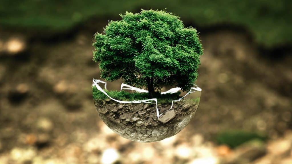 Lecciones de una pandemia para resolver la crisis medioambiental