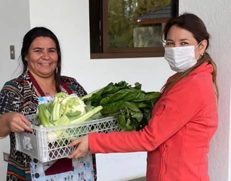 Emprendedores curicanos se reinventan ante crisis económica