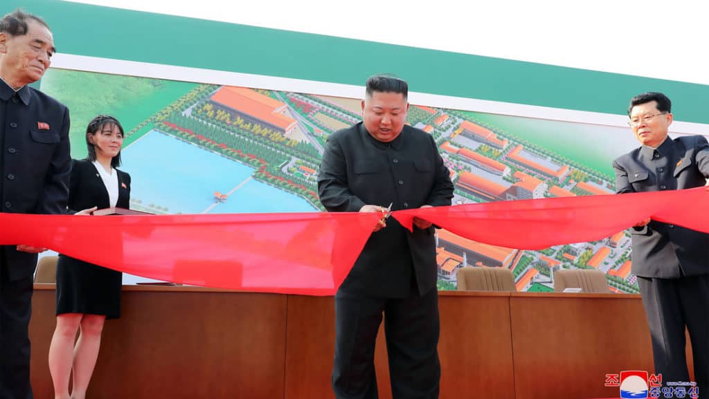 Yonhap: Seúl no cree que Kim Jong-un haya sido operado