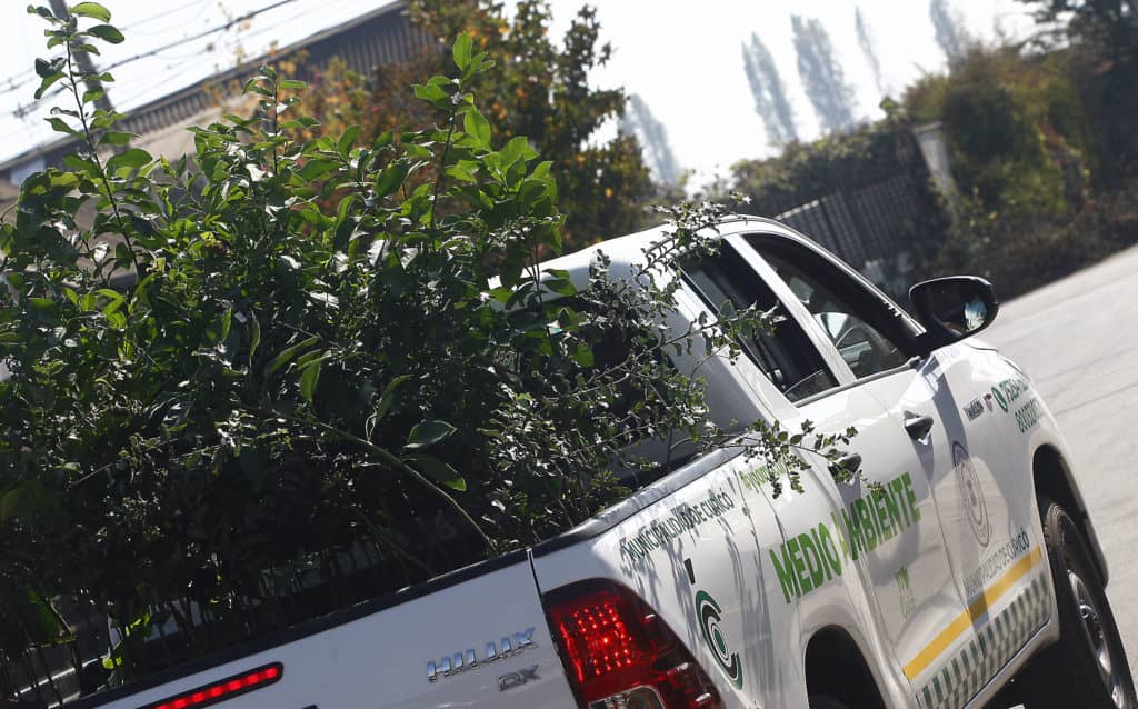 “Yo Adopto un Árbol”: Se abre nuevo proceso de inscripción