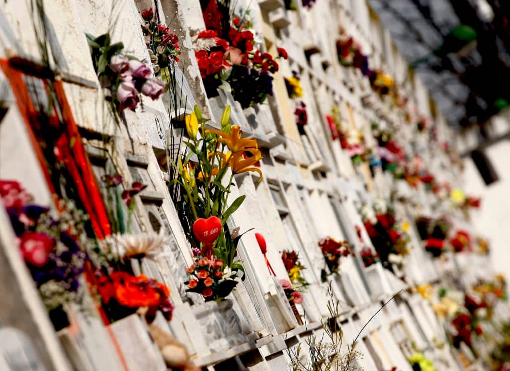 Cementerio Curicó: Hijos podrán llevar una flor a su madres