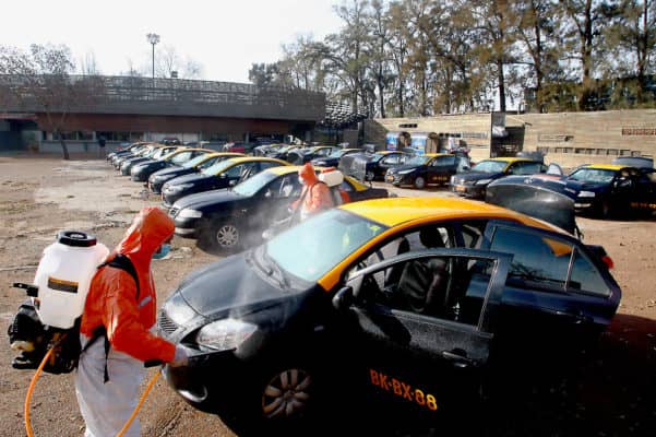Taxis básicos de Curicó fueron sanitizados