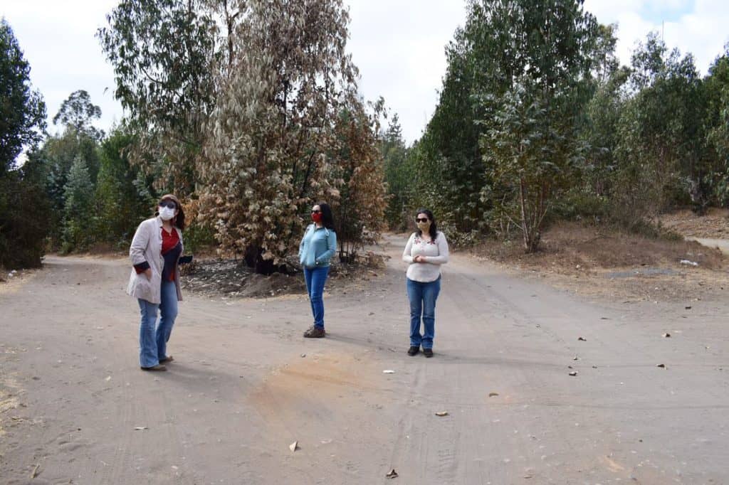60 viviendas construidas en madera beneficiarán a familias de Putú