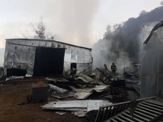 Incendio consume bodegas y caballares fina sangre en Comalle