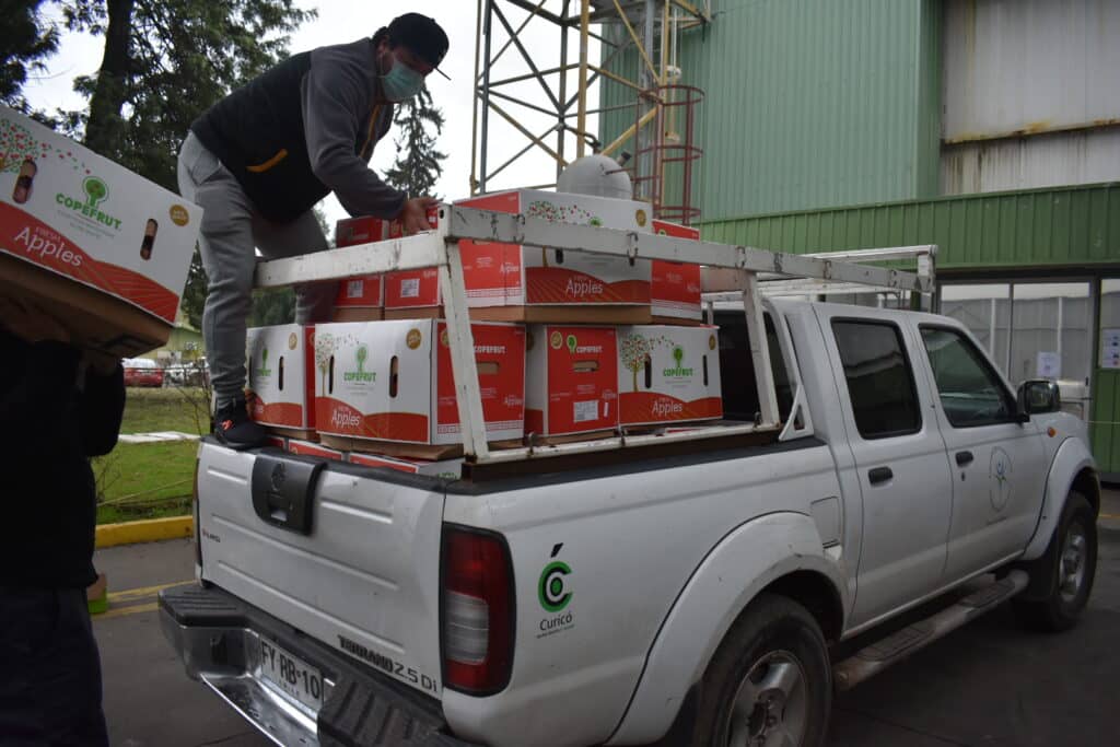Empresa frutícola curicana donó 5 mil kilos de fruta para ayudar a la comunidad