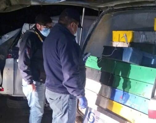 Millonario decomiso de merluza procedente de Duao efectuó Sernapesca regional